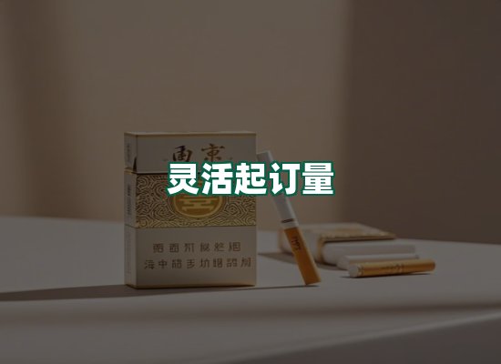 核心优势